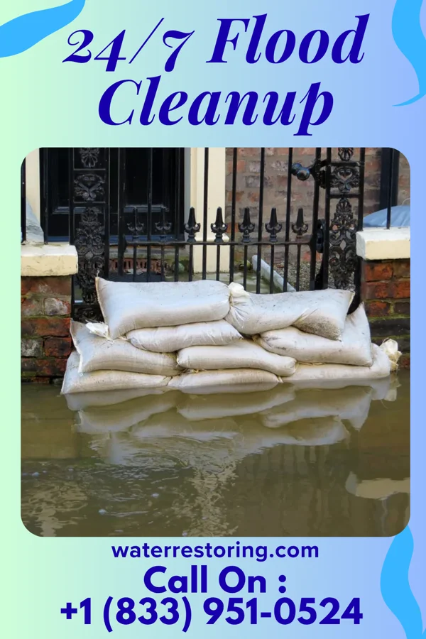24/7 Flood Cleanup in Stinesville, IN