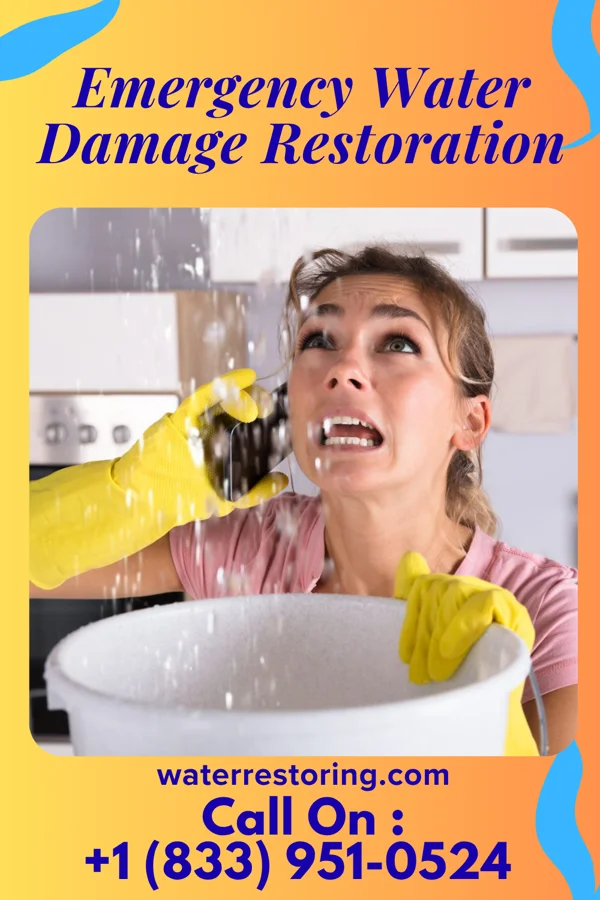 Emergency Water Damage Restoration in Stinesville, IN