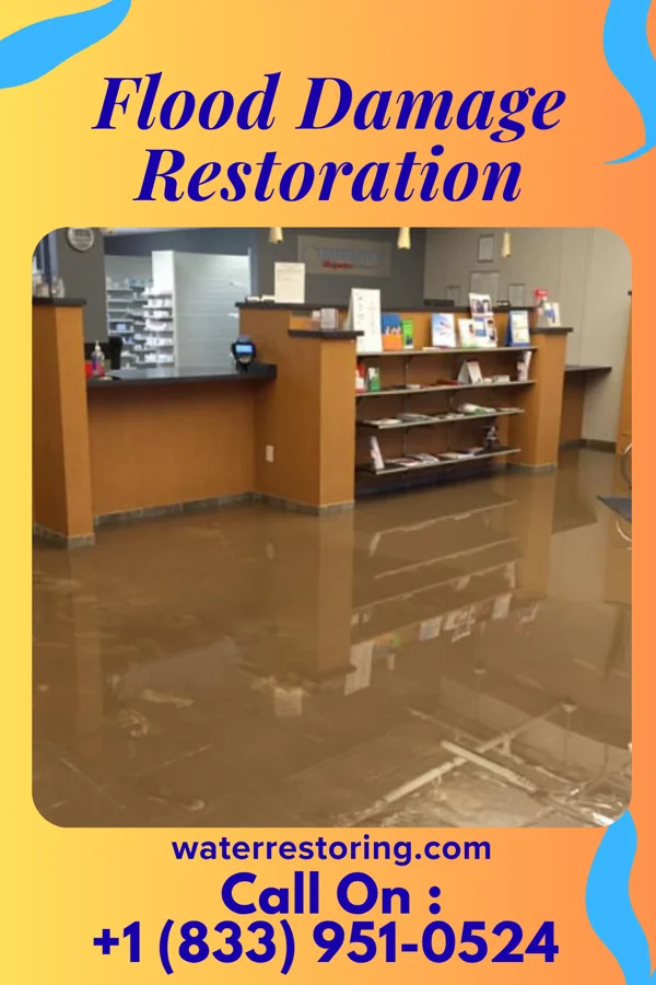 Flood Damage Restoration in Stinesville, IN